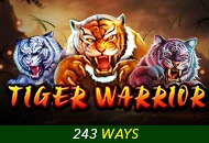 Spadegaming : Tiger Warrior - SMARTGAMING138